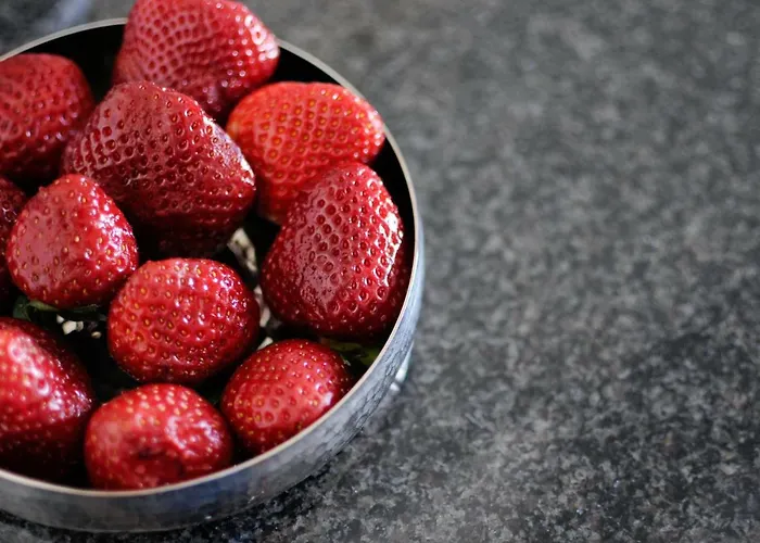 Panoramic Living Apartamento Lisboa