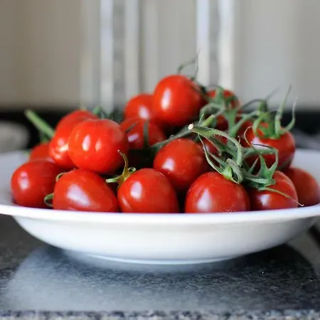 Apartman Panoramic Living *