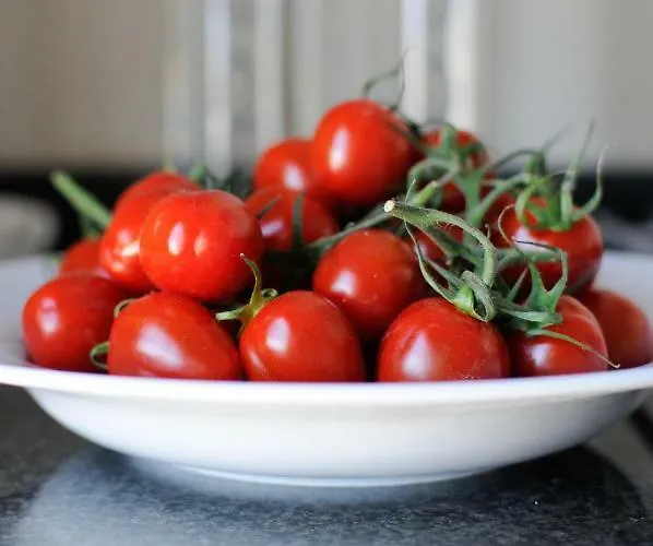 Appartement Panoramic Living *